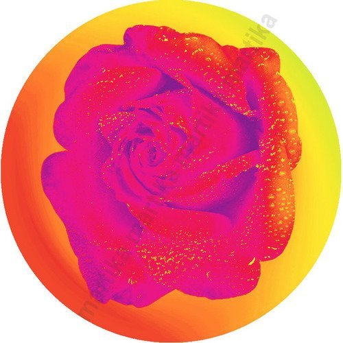 Cabochon à coller résine 25 mm fleur la rose n°93 