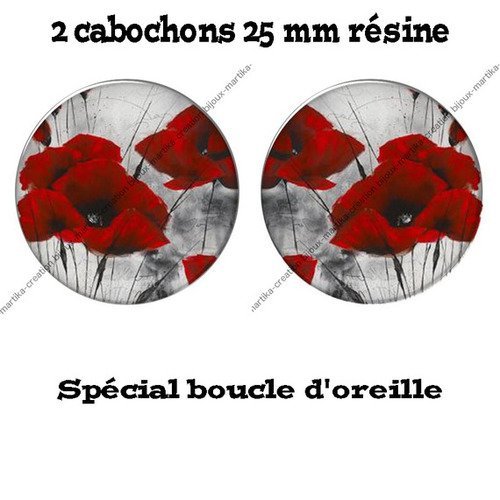 Lot 2 cabochons 25 mm résine spécial boucle d'oreille cr4 