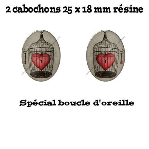 2 cabochons résine 25 x 18 mm spéciale boucle d&#039;oreille n°15 