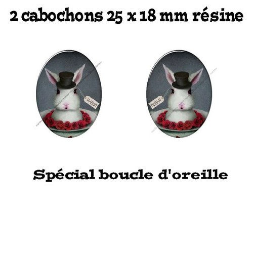 2 cabochons résine 25 x 18 mm spéciale boucle d&#039;oreille n°14 
