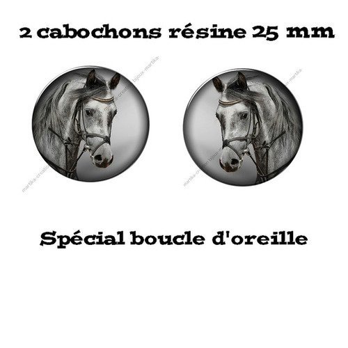 2 cabochons résine 25 mm spéciale boucle d&#039;oreille n°11 