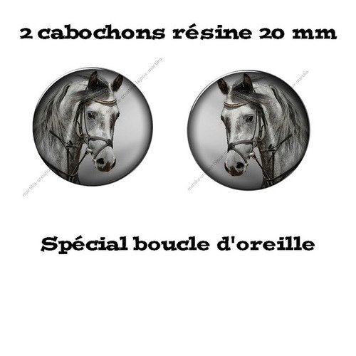2 cabochons résine 20 mm spéciale boucle d&#039;oreille n°5 