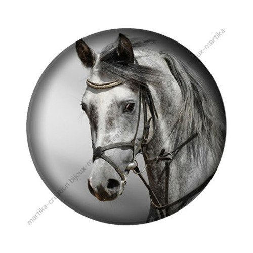 Cabochon rond 20 mm résine époxy cheval   ref 946 