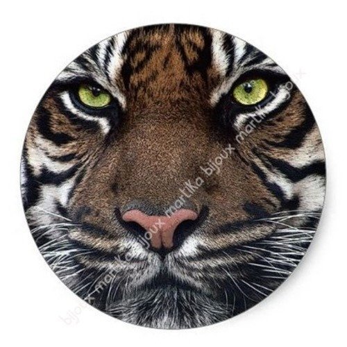 A coller cabochon résine epoxy 25 mm tigre n°34 fait-main 