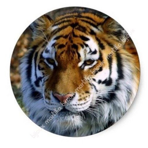 A coller cabochon résine epoxy 25 mm tigre n°32 fait-main 