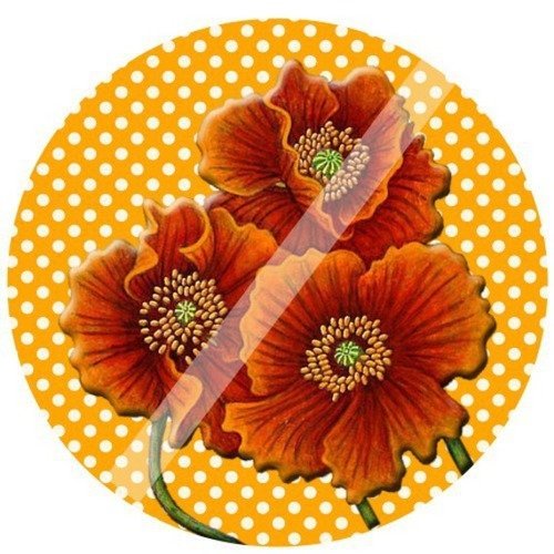 Cabochon à collé sur support 25 mm  fleur coquelicot n°110 