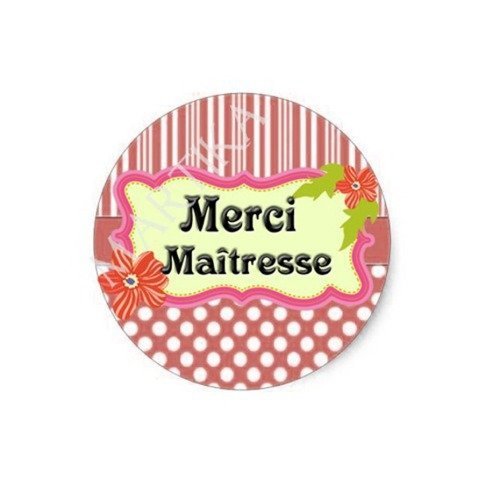 Cabochon à coller résine epoxy 25 mm  merci maîtresse n°a2 