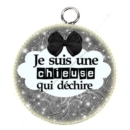 Pendentif cabochon metal et résine25 mm je suis une chieuse qui déchire n°61 