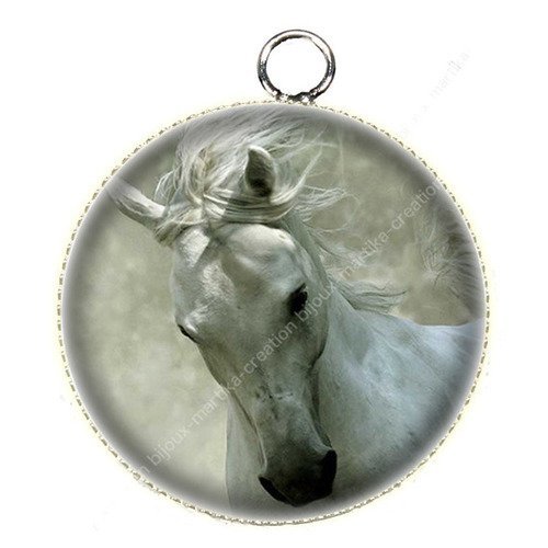 1 pendentif  25 mm argenté cabochon cheval epoxy résine métal n°59 