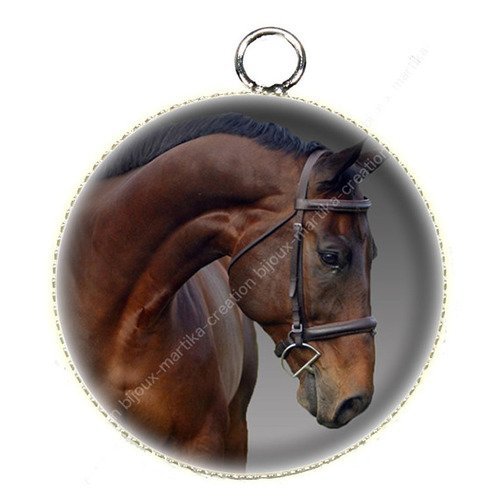 1 pendentif  25 mm argenté cabochon cheval epoxy résine métal n°57 