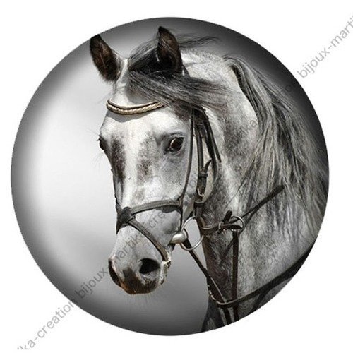 Cabochon à coller résine 25 mm cheval n°48 fait-main 