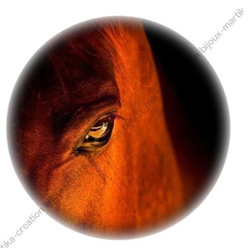 Cabochon à coller résine 25 mm cheval n°45 fait-main 