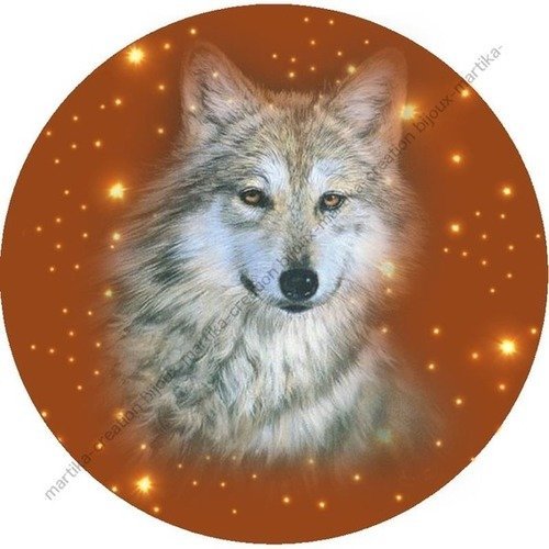 Cabochon a coller 25 mm loup resine image n°19 