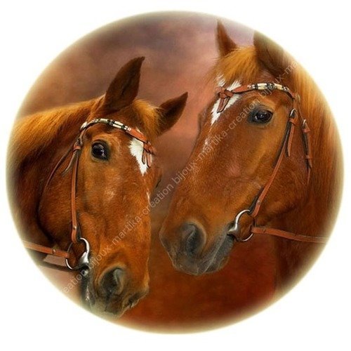 A coller cabochon epoxy 25 mm cheval n°19 fait-main 