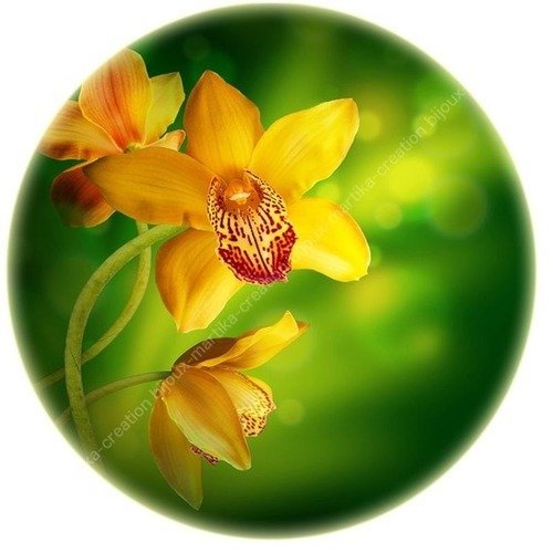 Cabochon a coller 25 mm  &quot; orchidée jaune oranger resine image n°3 