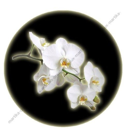 Cabochon a coller 25 mm  fleur  resine image n°4 
