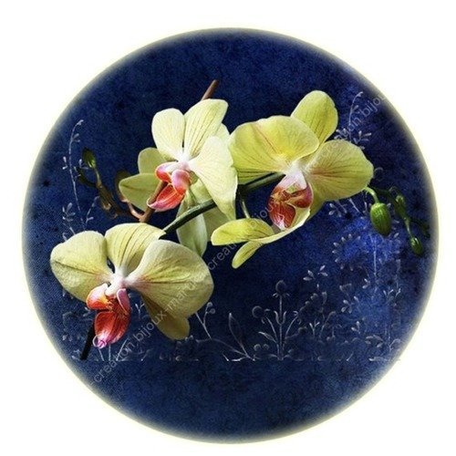 Cabochon résine a coller de 25 mm fleur orchidée verte n° 1 