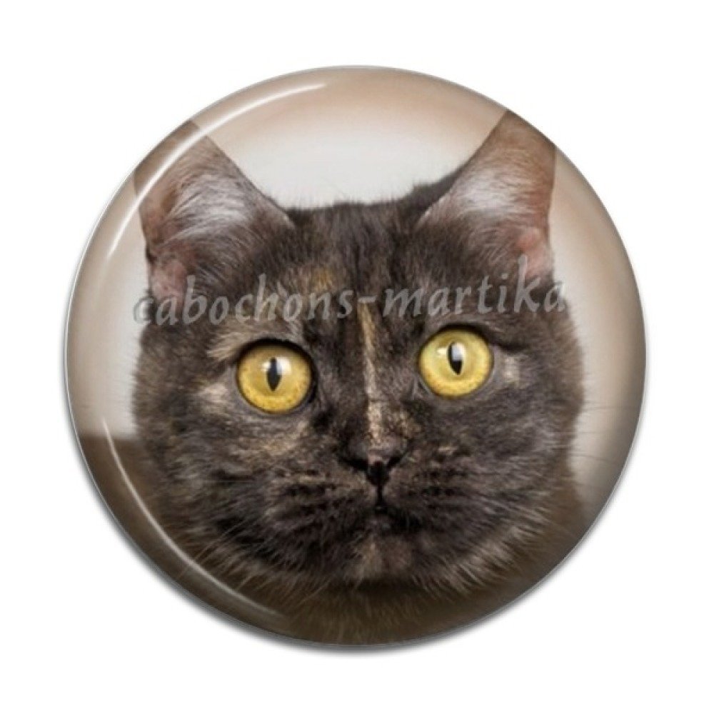 Cabochon Resine Chat Mm Un Grand Marche