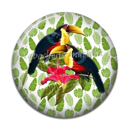 Cabochon oiseaux, cabochon résine 25 mm 