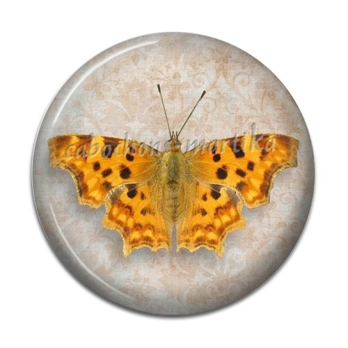 Cabochon papillon, résine 20 mm 
