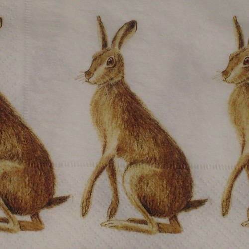Serviette en papier kangourous 