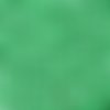 10gr miniduo® 2x4mm en verre coloris pearl shine light green 02010/24010 - vert