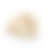 10 coquillages naturels cauri beige / ivoire ( +/- 19mm x 13mm x 11mm )    lbp00005 