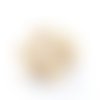 10 coquillages naturels cauri blanc / ivoire  ( +/- 18~20mm x 13~17mm x 9~11mm )     lbp00003 