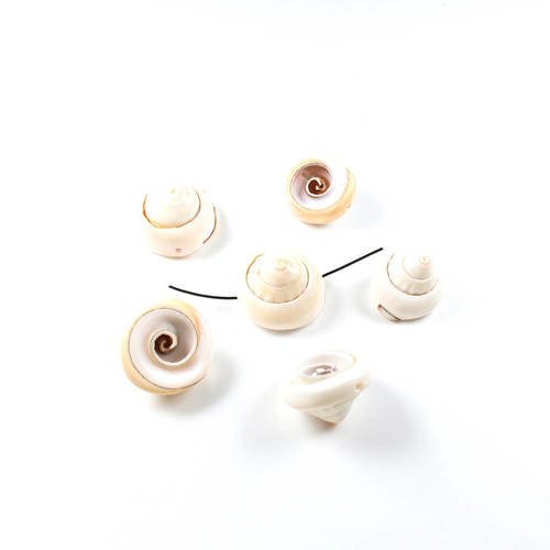 10 perles spirale de coquillage naturel  ~ 19 à 20mm x 12 à 13mm    lbp00094 