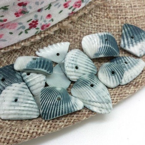 30 perles grandes chips coquillage blanc bleu gris 10 à 20mm (pn75) 