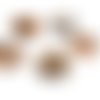 5 cabochons coquillage 20mm beige brun à coller (cab166) 