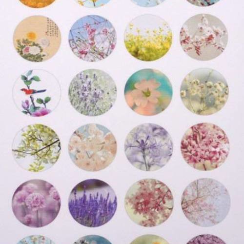Cabochons 18mm fleurs: planche imprimée 24 images digitales (imp13) 