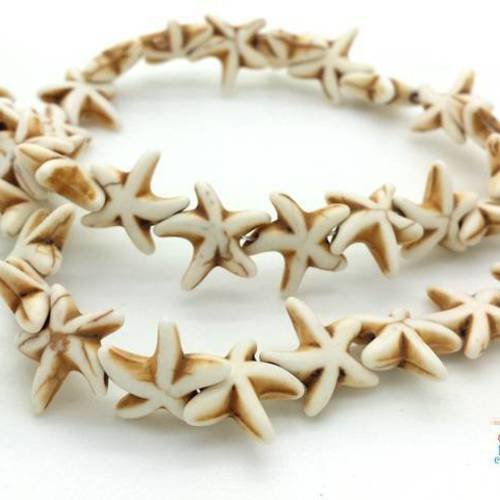 10 perles étoile de mer howlite blanc ivoire, 14mm (ph117) 