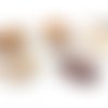 5 breloques coquillages entiers blanc brun 30x35mm pendentif déco (pn76) 
