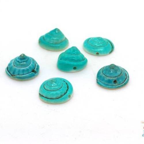 5 perles coquillages turquoise oeil de sainte lucie 8x15mm (pn68) 