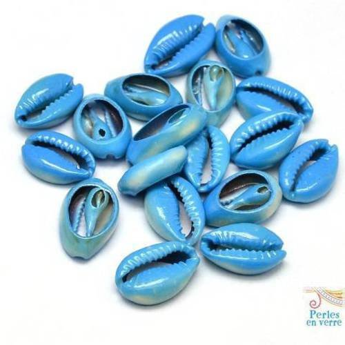 10 coquillages cauris bleus 11x16mm  bijou bracelet été (pn59) 