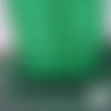 2 mètres cordon suédine aspect daim vert effet paillettes (fil55) 