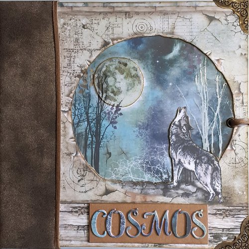 Cosmos.