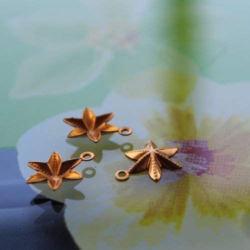 10 fleurs-étoiles breloques de 12 mm