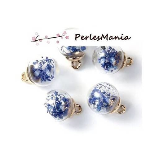 Pax 5 pendentifs globes bulles en verre avec fleurs seichees bleu s1187800