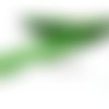 Apprêt mercerie 2m ruban biais etoile 18mm 770300 couleur vert 56