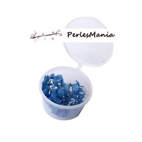 1 boite de fleurs seichées bleu pour inclusion de résine, scrapbooking s11104119