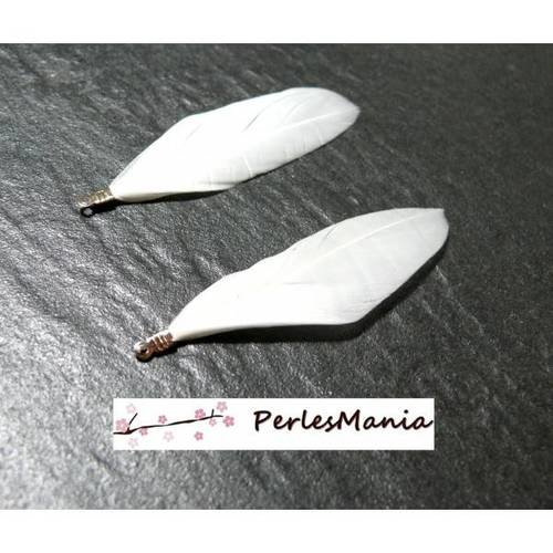 Pax 20 plumes naturelles avec embouts doré blanc s11102467
