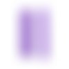 Set de 2 pains transparent violet dtm ref 500126