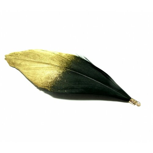 Ps110110029 pax 10 plumes naturelles avec embouts doré noir et doré