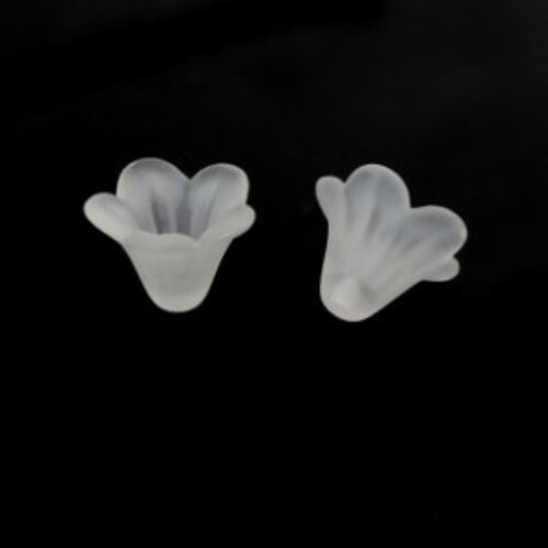 Ps110209255 pax 100 petites fleurs acrylique blanc transparent