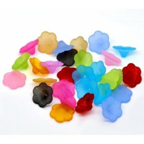 Lot de 20 grandes fleurs mutlicolores ref aa