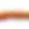 1 fil d'environ 30 perles intercalaires, pendentif crane , howlite, turquoise reconstituées 10 par 12mm couleur orange