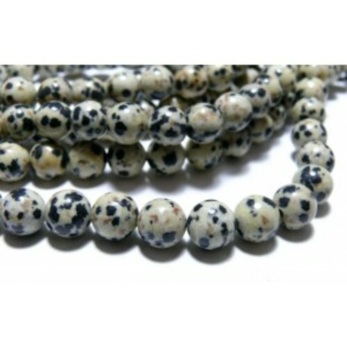 H115156 1 fil d'environ 30 perles jaspe dalmatien 6mm