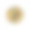 Ps110247974 pax 5 pendentifs breloques stardust ronde 20mm chat doré